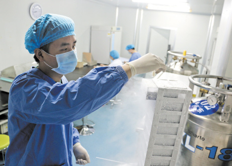 细胞冻存 细胞冻存