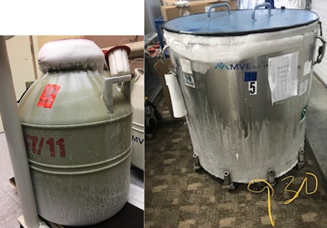 液氮罐内部结冰